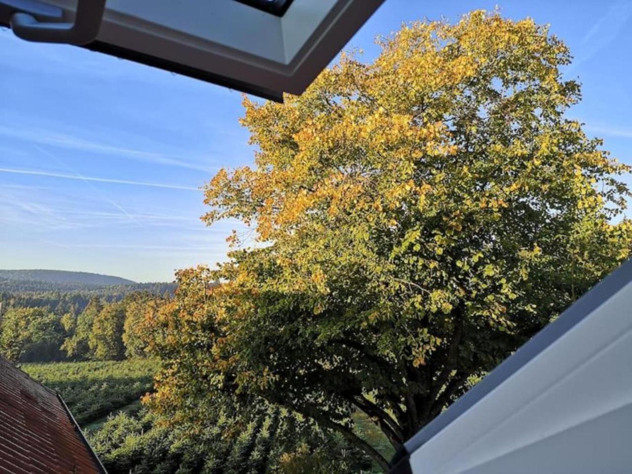 Апартаменты Gruene Oase Im Teutoburger Wald Георгсмариенхютте Экстерьер фото